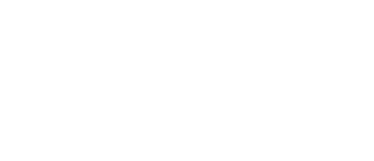 logo Warsaw Booster